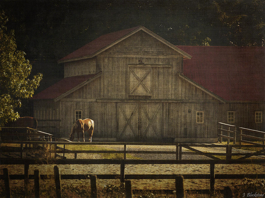 Horse Photograph - Love Of Country Vintage Art by Jordan Blackstone by Jordan Blackstone
