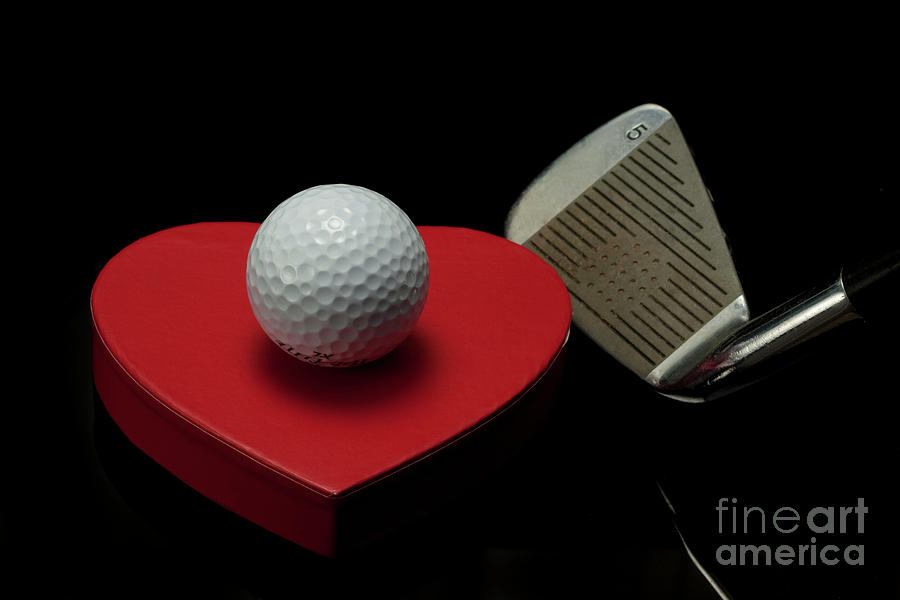 Love of golf Photograph by Linda Matlow