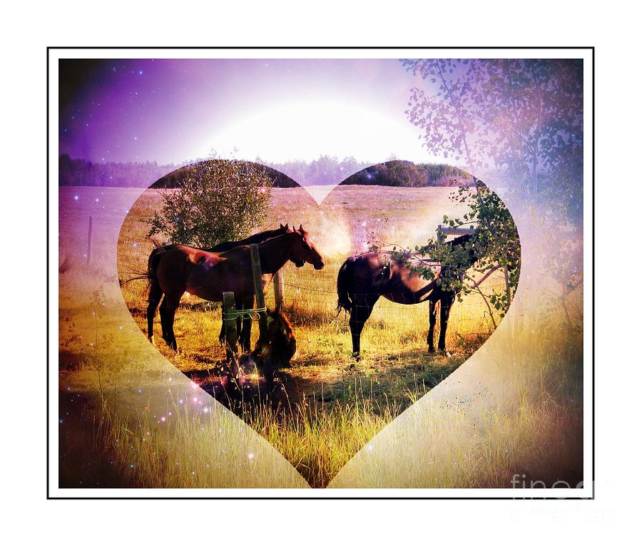 Love of Horses Photograph by Barbara A Griffin