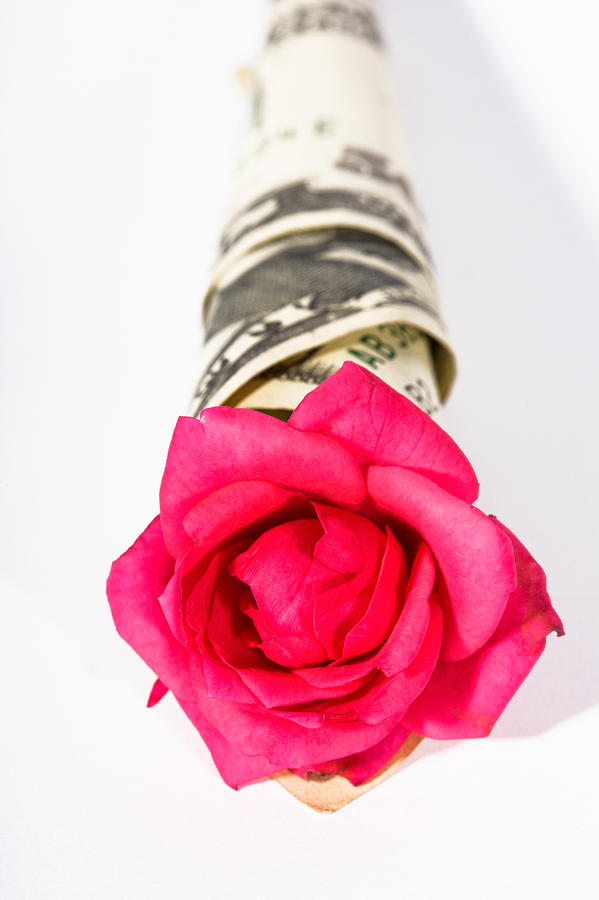 Love of Money Photograph by Diane Macdonald