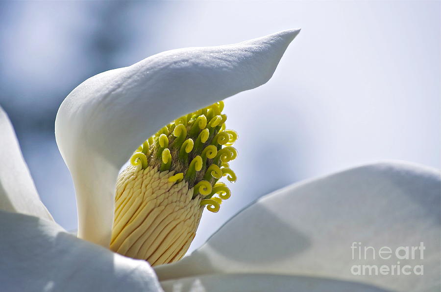 Love of Nature Photograph by Gwyn Newcombe