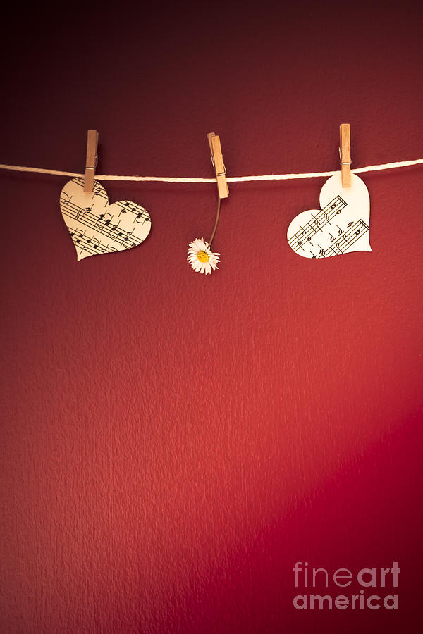 Love on the Line Photograph by Jan Bickerton