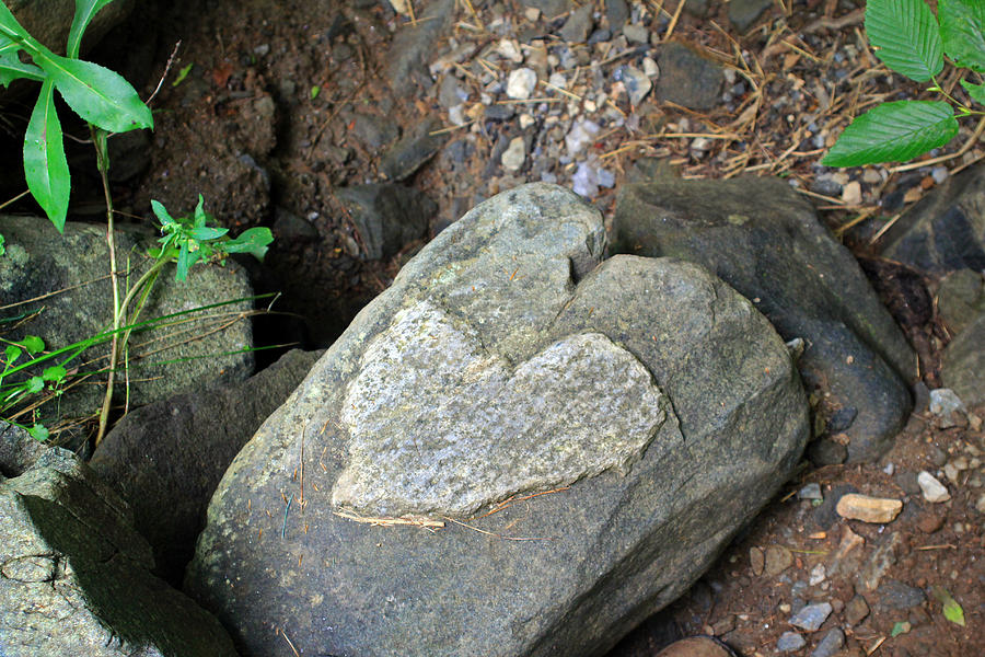 Love On The Rocks Photograph