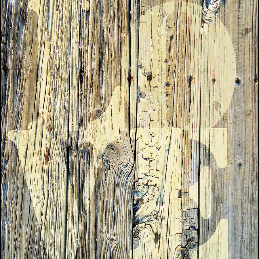 Love On Weathered Wood Photograph by Suzanne Powers