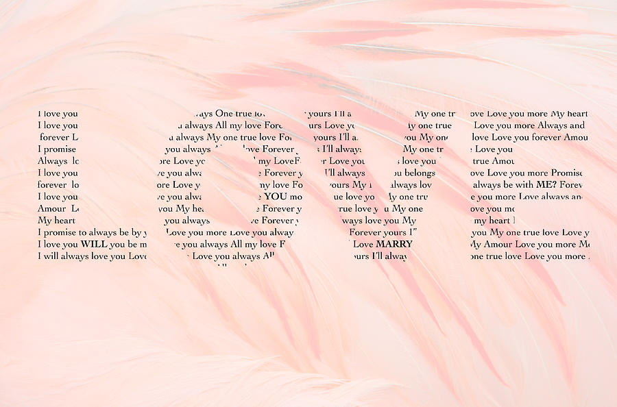Pink lyrics True Love  True love lyrics, Inspirational music