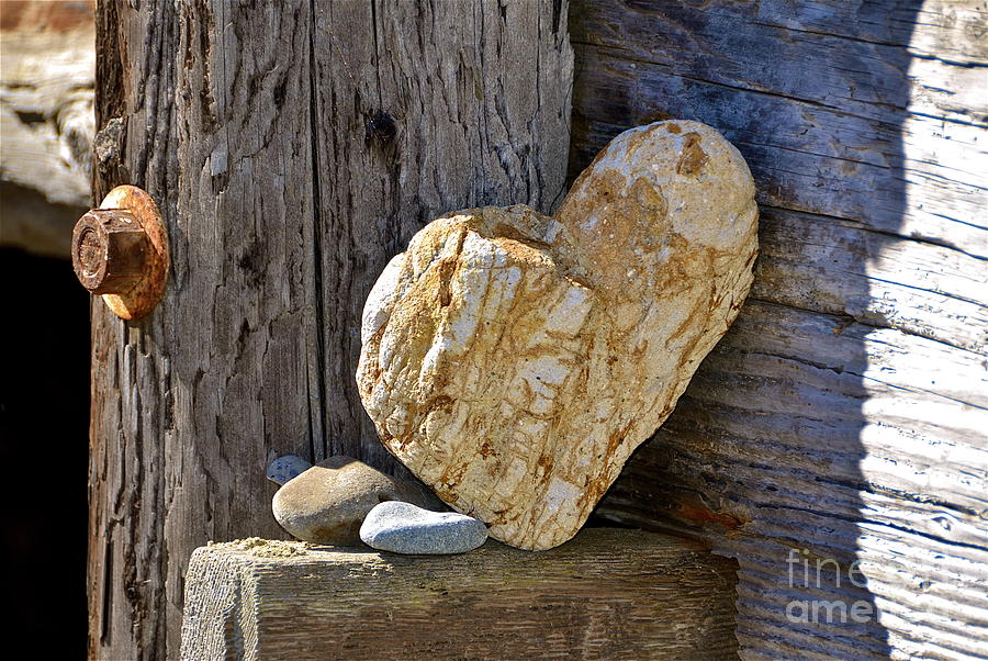 Love Rocks Photograph by Amy Fearn