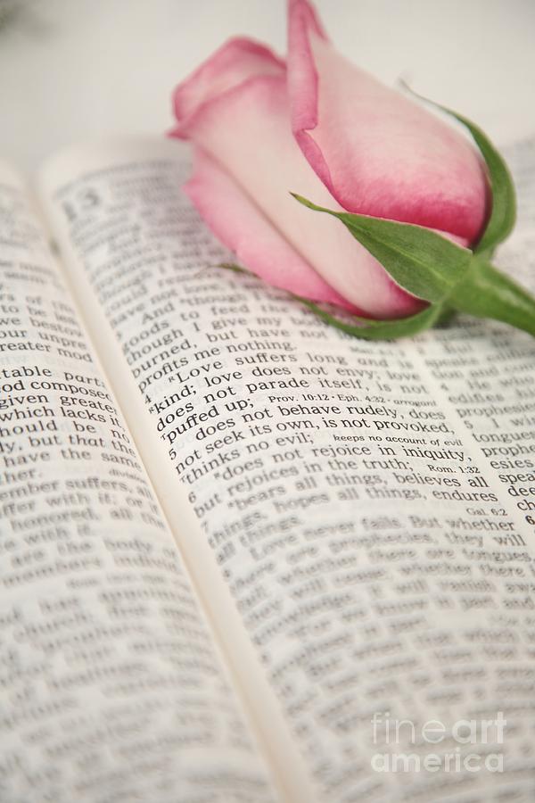 Love Scripture Photograph by Pattie Calfy