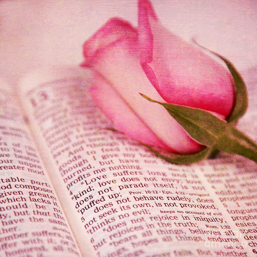 Love Scripture with Rose Photograph by Pattie Calfy