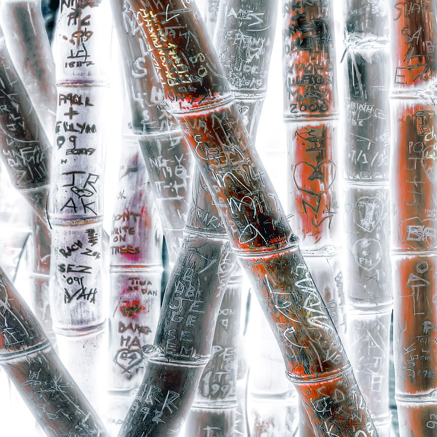 Abstract Photograph - Love Sticks by Wayne Sherriff