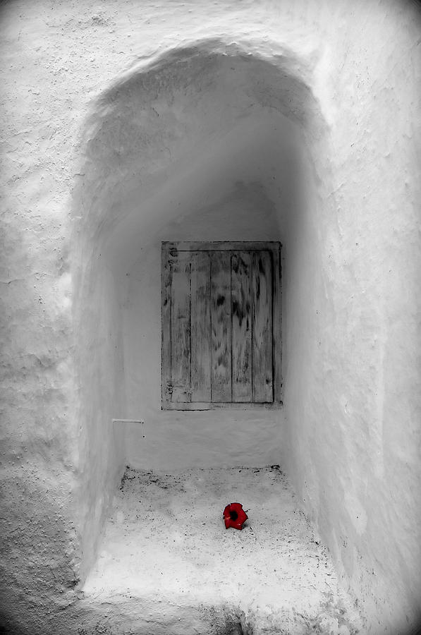 Remembering the tragedy of Romeo and Juliet this closed windows receives a  flower as love gift Photograph by Pedro Cardona Llambias