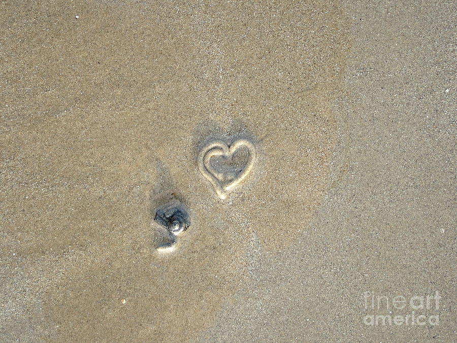 Summer Photograph - Love the Beach by Mark Bowden