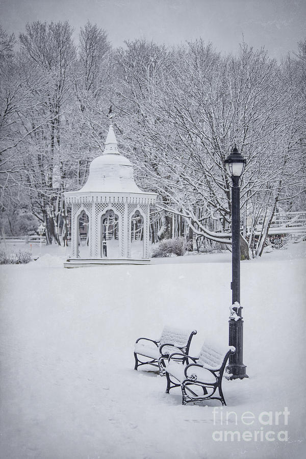 Winter Photograph - Love Through The Winter by Evelina Kremsdorf