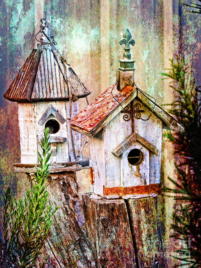 Love Thy Neighbor - Birdhouses Photograph by Ella Kaye Dickey