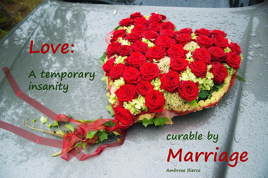 Love wedding marriage funny quote Photograph by Matthias Hauser Love wedding marriage funny quote Photograph by Matthias Hauser