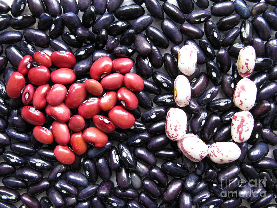 Unique Photograph - Love You Beans by Ausra Huntington nee Paulauskaite