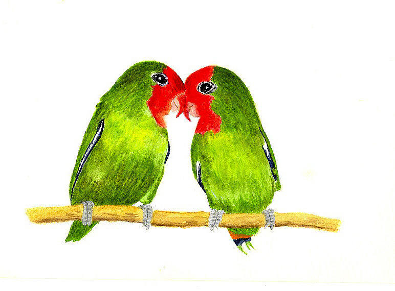 Bird Painting - Lovebirds by Michael Vigliotti