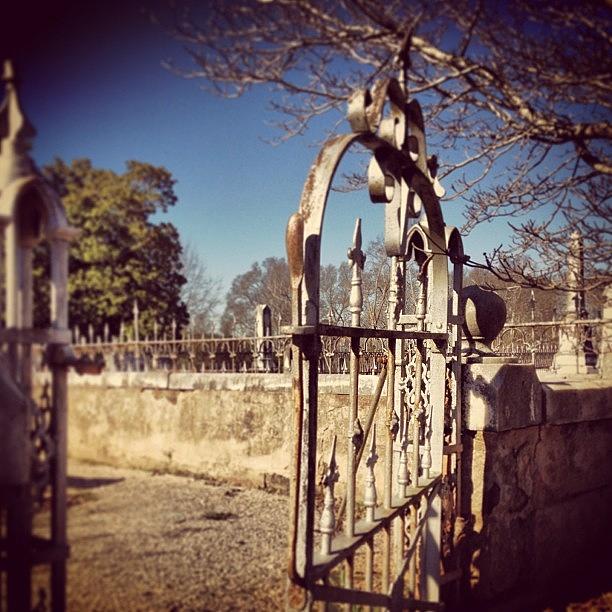 Antique Photograph - Loved This Tiny #gate In The #cemetery by Deana Graham