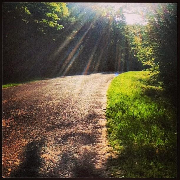 Nature Photograph - Lovely Day For A Walk. #road #sun by Megan Noble