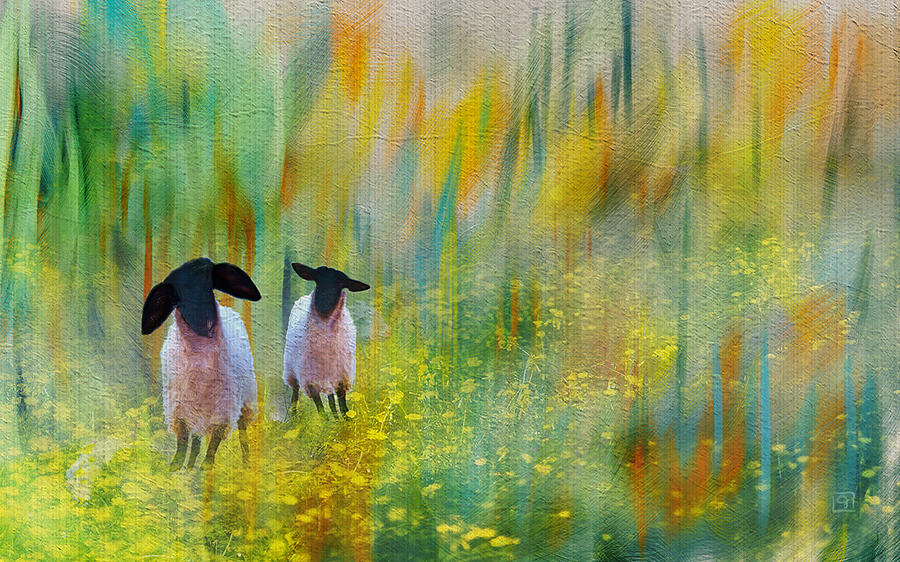 Lovely Day Sheep Painting by Jean Moore