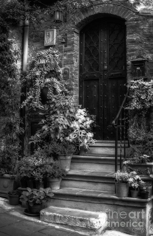Flower Photograph - Lovely Entrance in Black and White by Prints of Italy