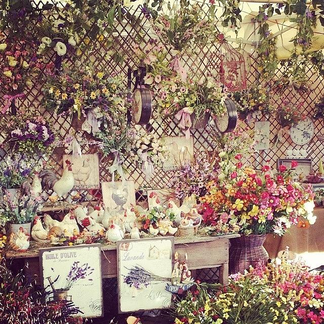 Lovely Flowers Shop 💕💕 Photograph by The Walking Fashion