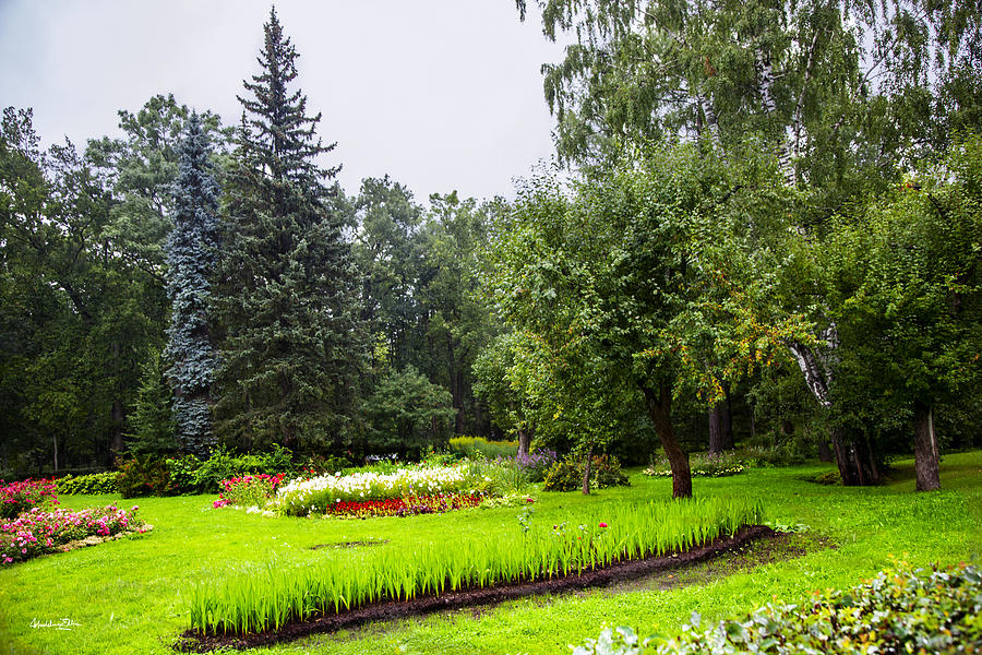 Lovely Garden in St. Petersburg, Russia Photograph by Madeline Ellis