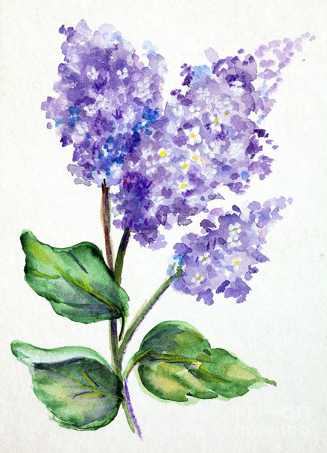 Lovely Lilacs Painting by Pattie Calfy