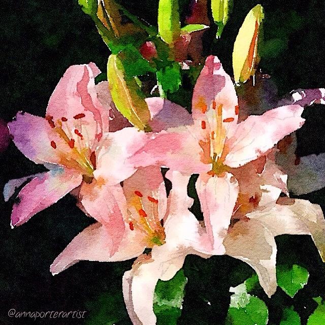 Flower Photograph - Lovely Lilies digital painting by Anna Porter