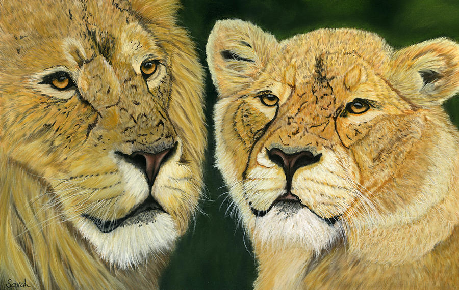 Lion Painting - Lovely Lions by Sarah Dowson