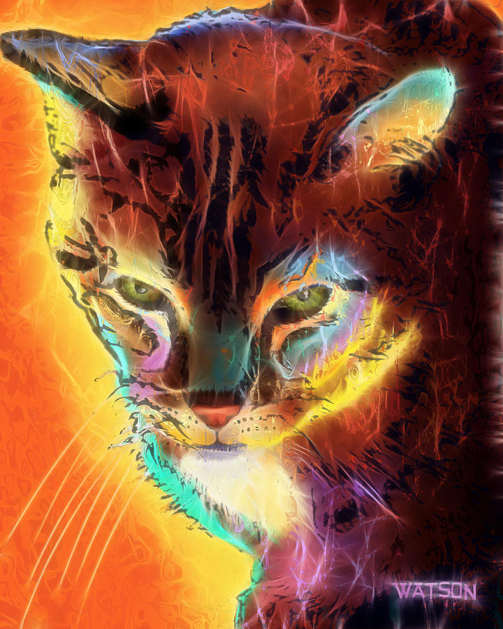 Space Digital Art - Lovely Lulu the cat by Marlene Watson