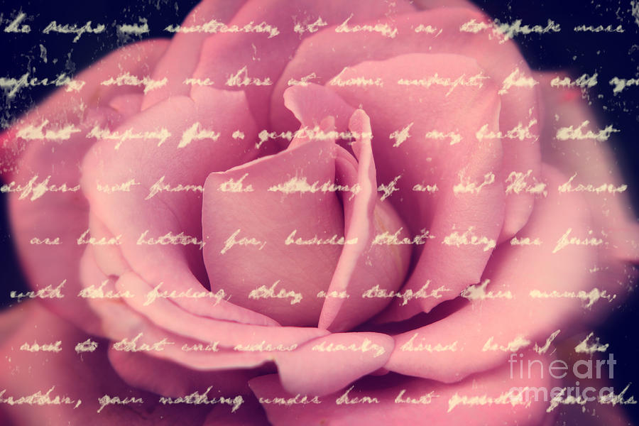 Lovely Pink Rose with Vintage Handwriting Photograph by Beverly Claire Kaiya