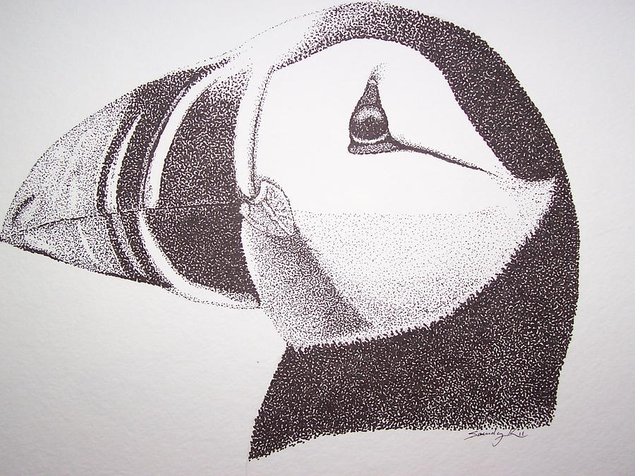 Puffin Drawing - Lovely by Saundra Smoker