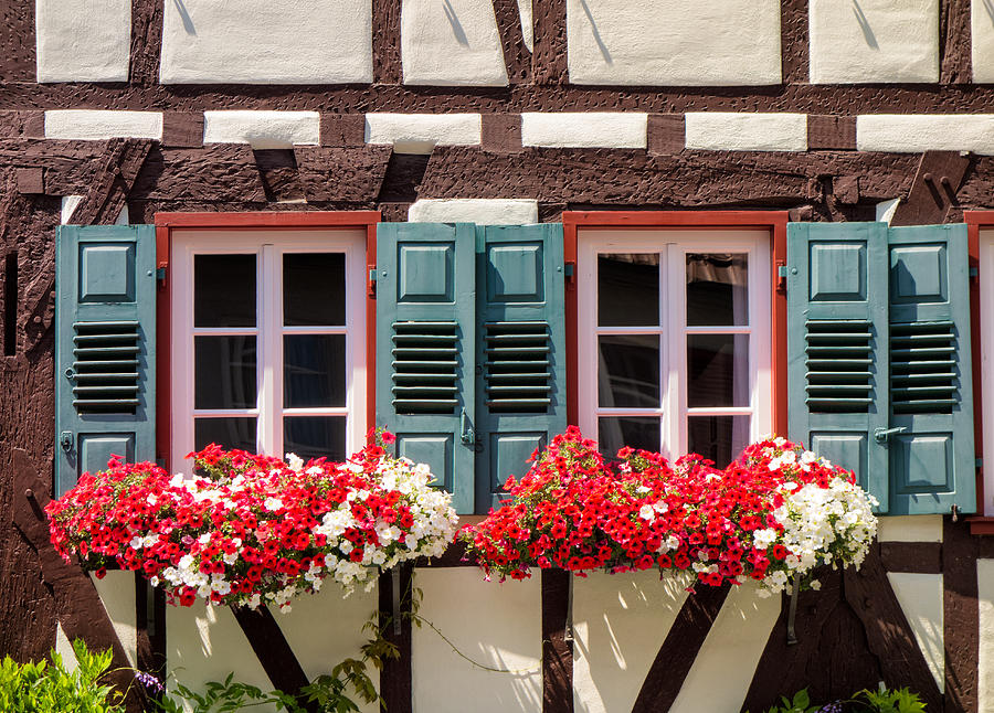 Lovely Windows With Flower Decoration In Germany Photograph