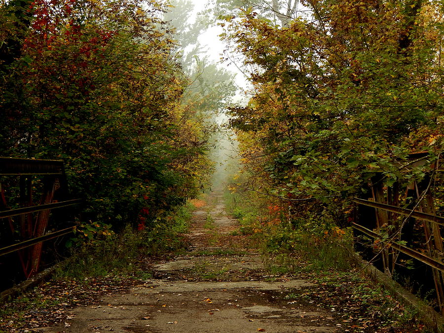 Lovers Autumn Lane Photograph by Wild Thing