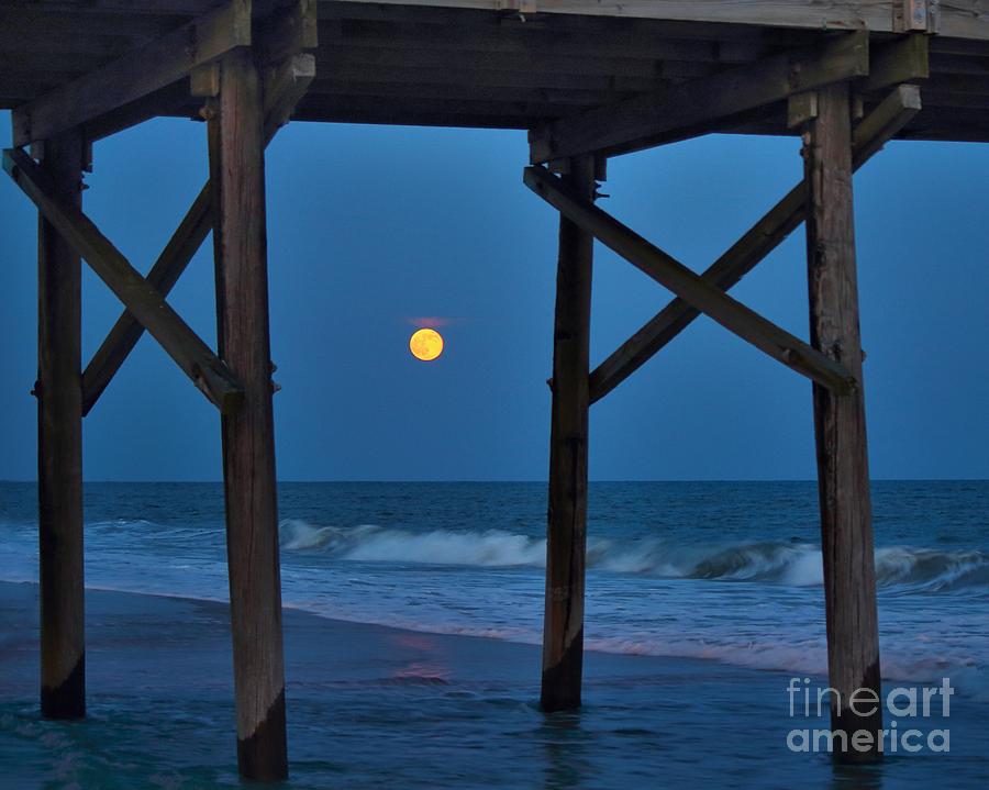Summer Photograph - Lovers Moon by Frances Marian Lewis