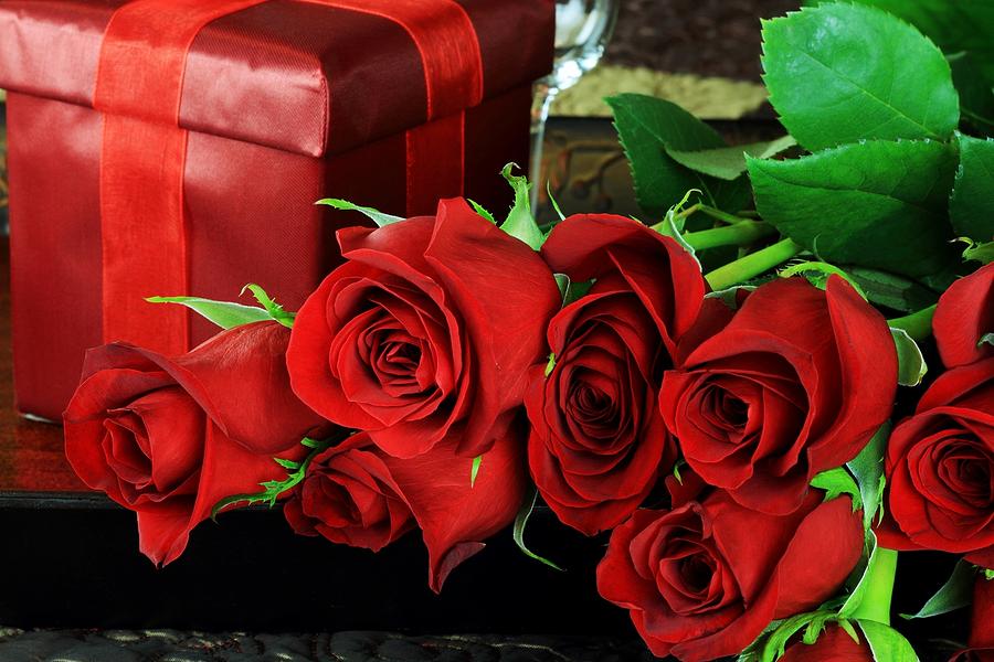 Lovers Roses for Christmas Photograph by Doc Braham