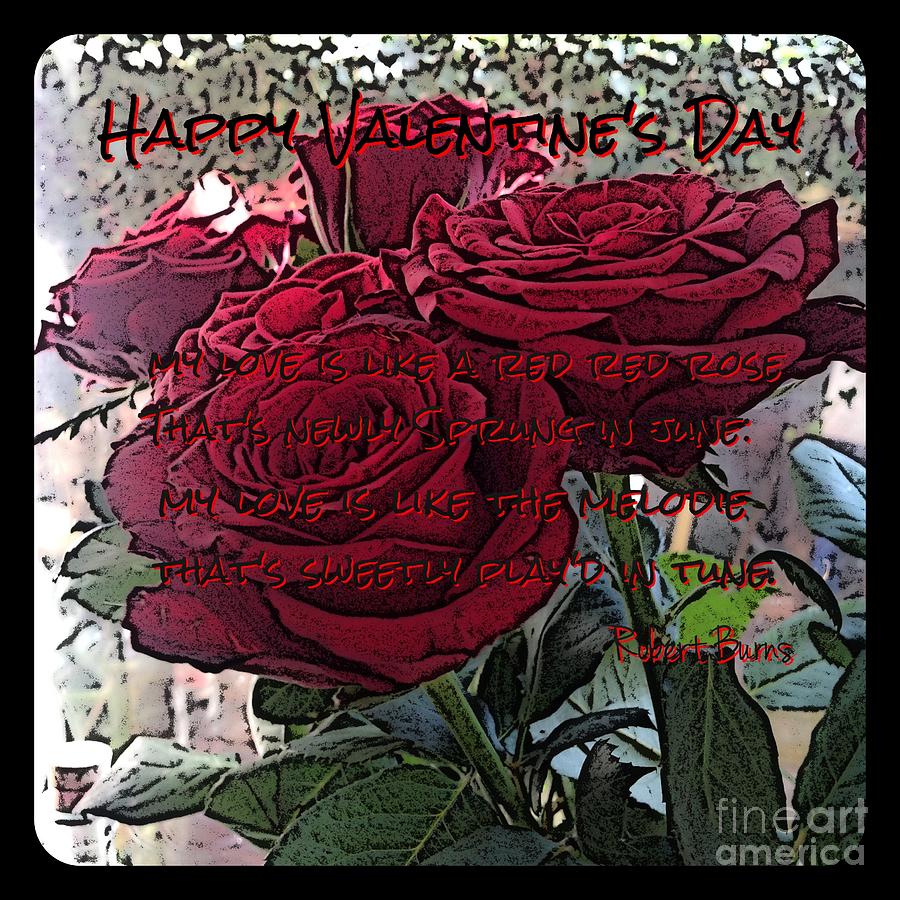 Lovers Roses Valentine Photograph by Joan-Violet Stretch