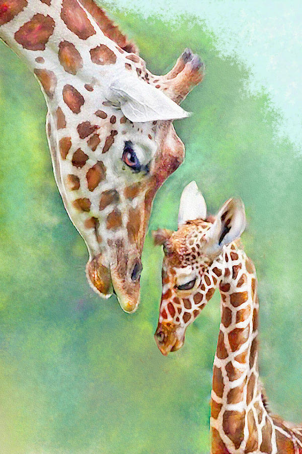 Loving Mother Giraffe2 Digital Art by Jane Schnetlage