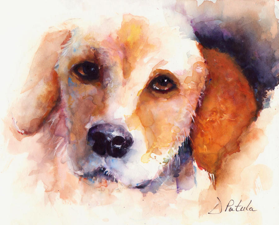 Labrador Retriever Painting - Loving You by Dianne Patula