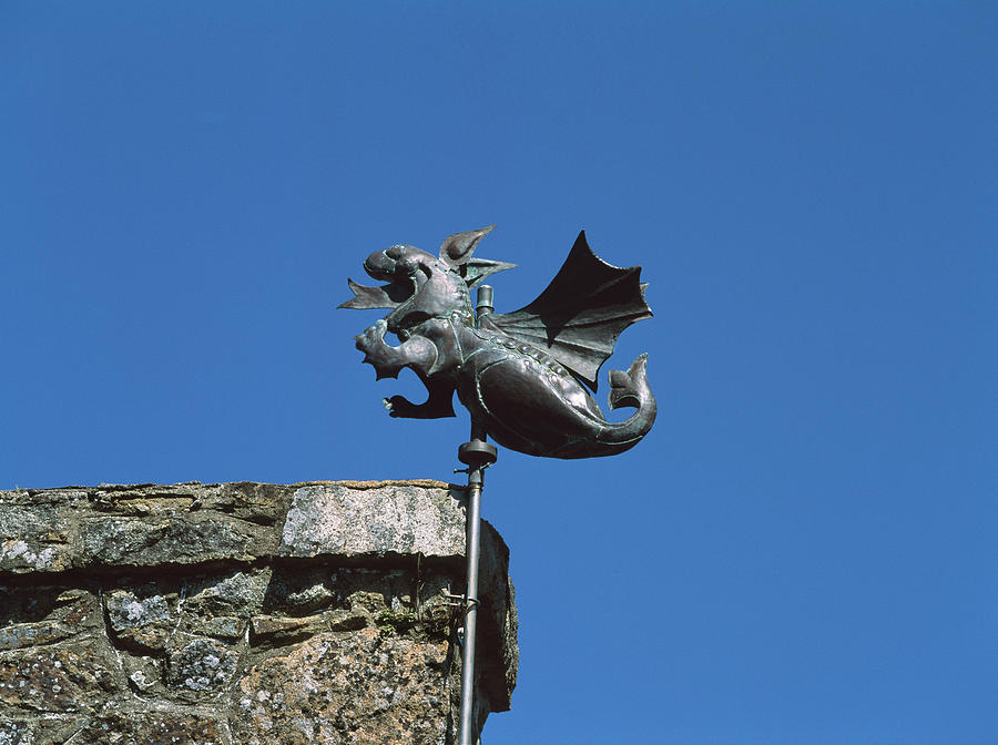 Low Angle View Of Girouette Dragon Photograph by Panoramic Images