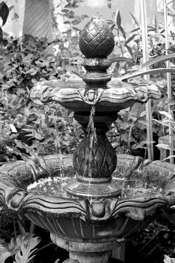 Low Country Fountain Photograph by Suzanne Gaff