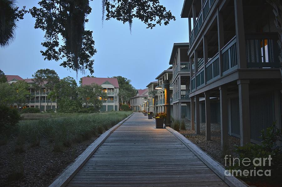 Nature Photograph - Low Country Island Resort by Carol  Bradley