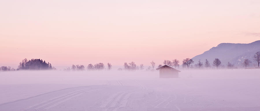 Low fog Photograph by Jorge Maia
