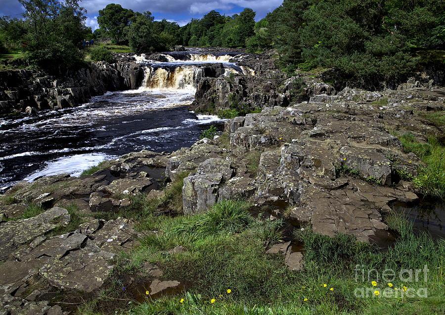 Low Force Waterfall in the English Dales Photograph by Martyn Arnold
