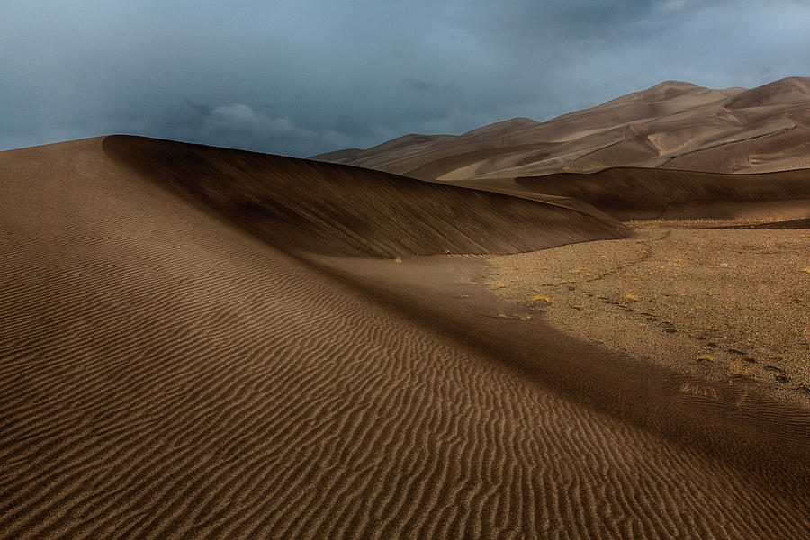 Great Sand Dunes National Park Photograph - Low Sandy Wave by Josh Baker