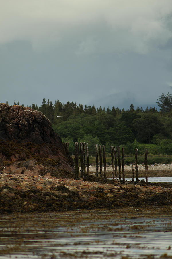 Low Photograph - Low Tide by Anthony Bean Low Photograph - Low Tide by Anthony Bean