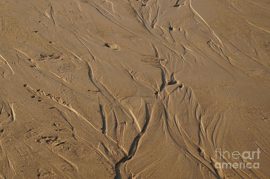 Sand Photograph - Low tide art  by Zori Minkova