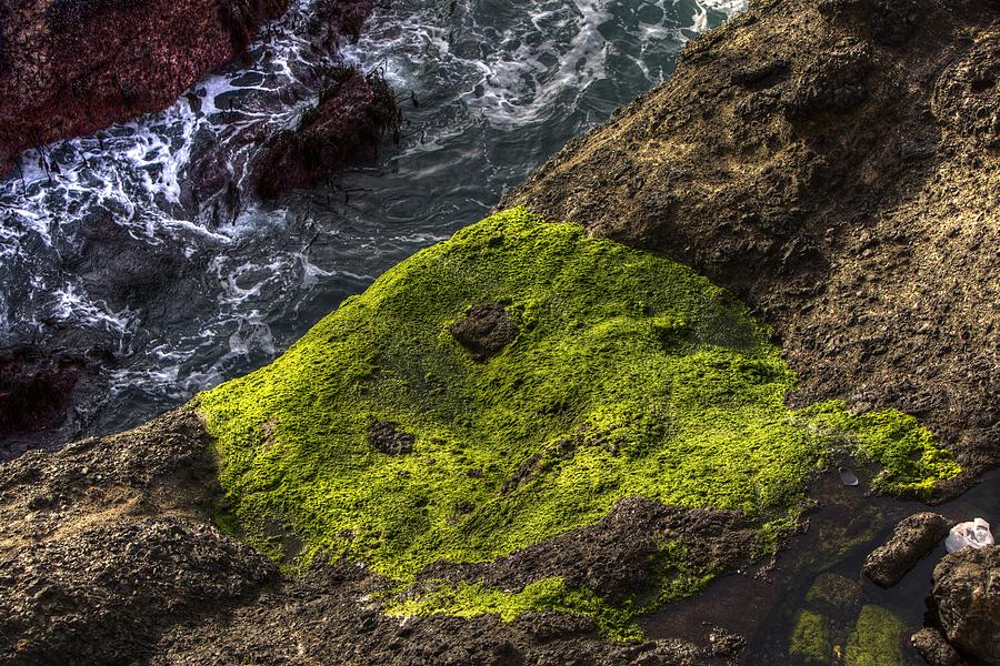 Low Tide at Depoe Bay Oregon Photograph by Paul Szudzik Fine Art America