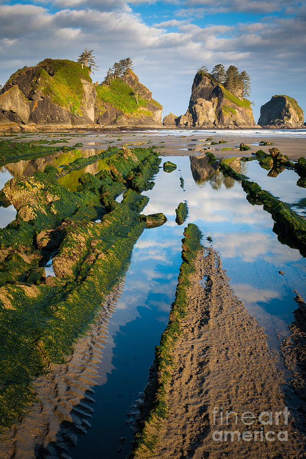 Nature Photograph - Low tide at Point of the Arches by Inge Johnsson