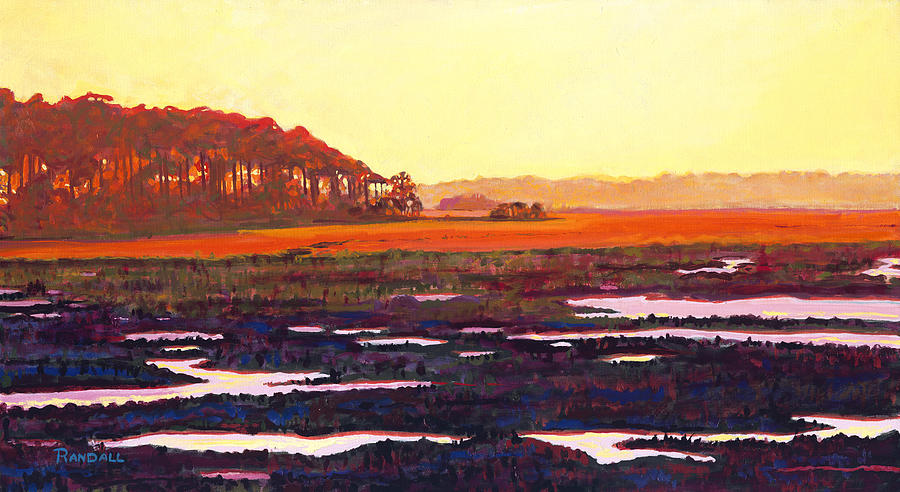 Low Tide Painting by David Randall